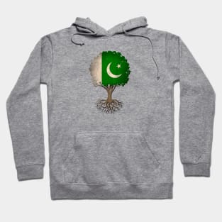 Tree of Life with Pakistani Flag Hoodie